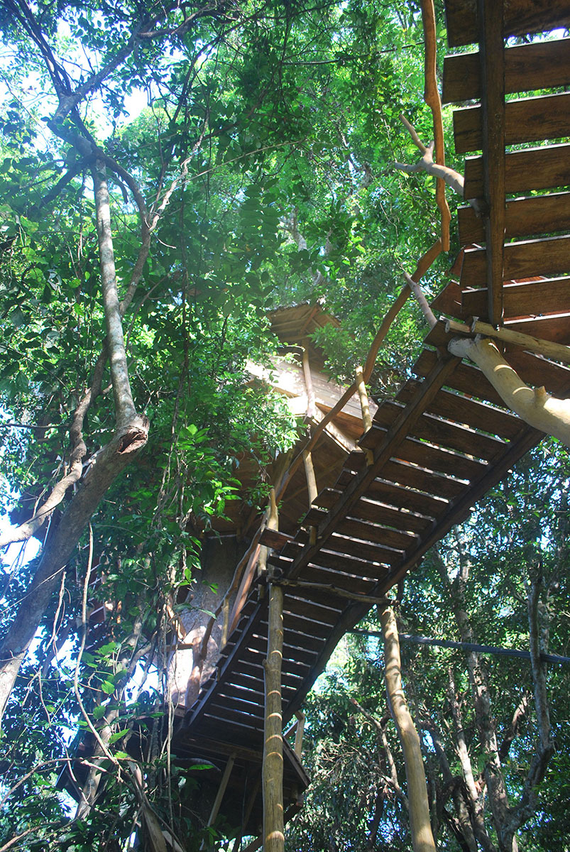 DSC_0105a – Treehouse Sri Lanka