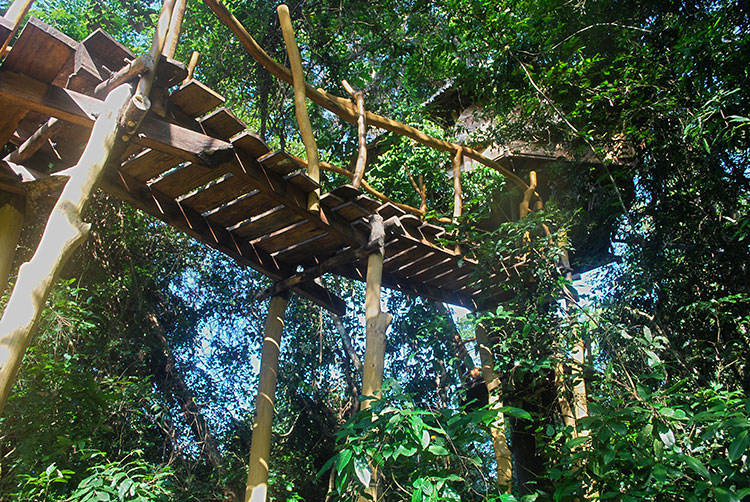 Largest treehouse in Sri Lanka – Treehouse Sri Lanka