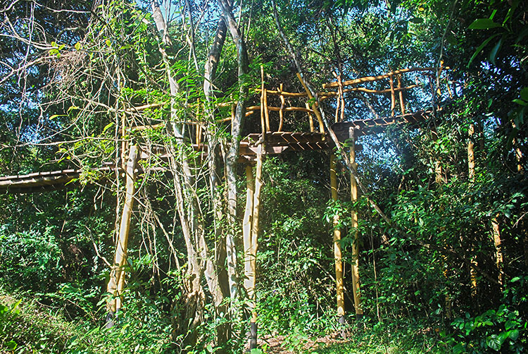 The treehouse bridge – Treehouse Sri Lanka